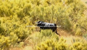 IMG_0956 