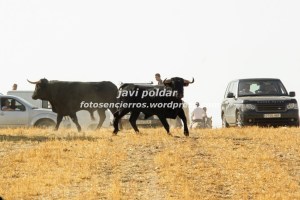 IMG_0995  