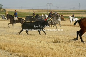 IMG_1022 