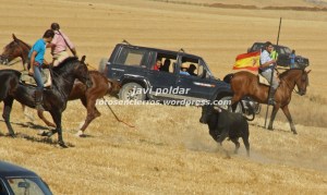 IMG_1183 