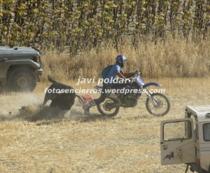 IMG_1206  