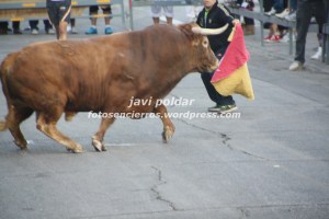 IMG_1259  