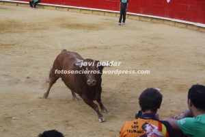 IMG_1303 
