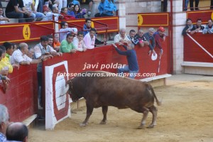 IMG_1309 