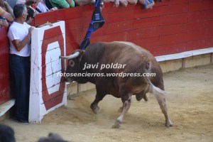 IMG_1331 