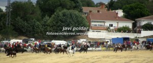 IMG_1465 