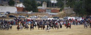 IMG_1490  