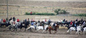 IMG_1524 