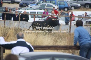 IMG_1547 